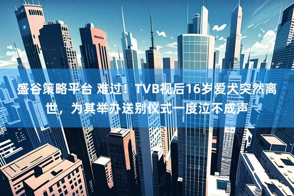 盛谷策略平台 难过！TVB视后16岁爱犬突然离世，为其举办送别仪式一度泣不成声