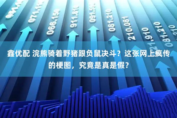 鑫优配 浣熊骑着野猪跟负鼠决斗？这张网上疯传的梗图，究竟是真是假？