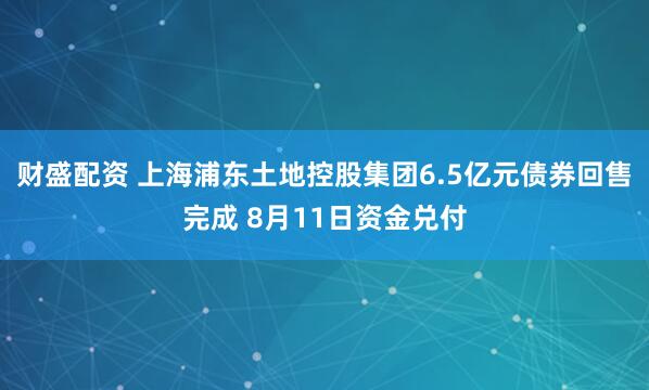 财盛配资 上海浦东土地控股集团6.5亿元债券回售完成 8月11日资金兑付